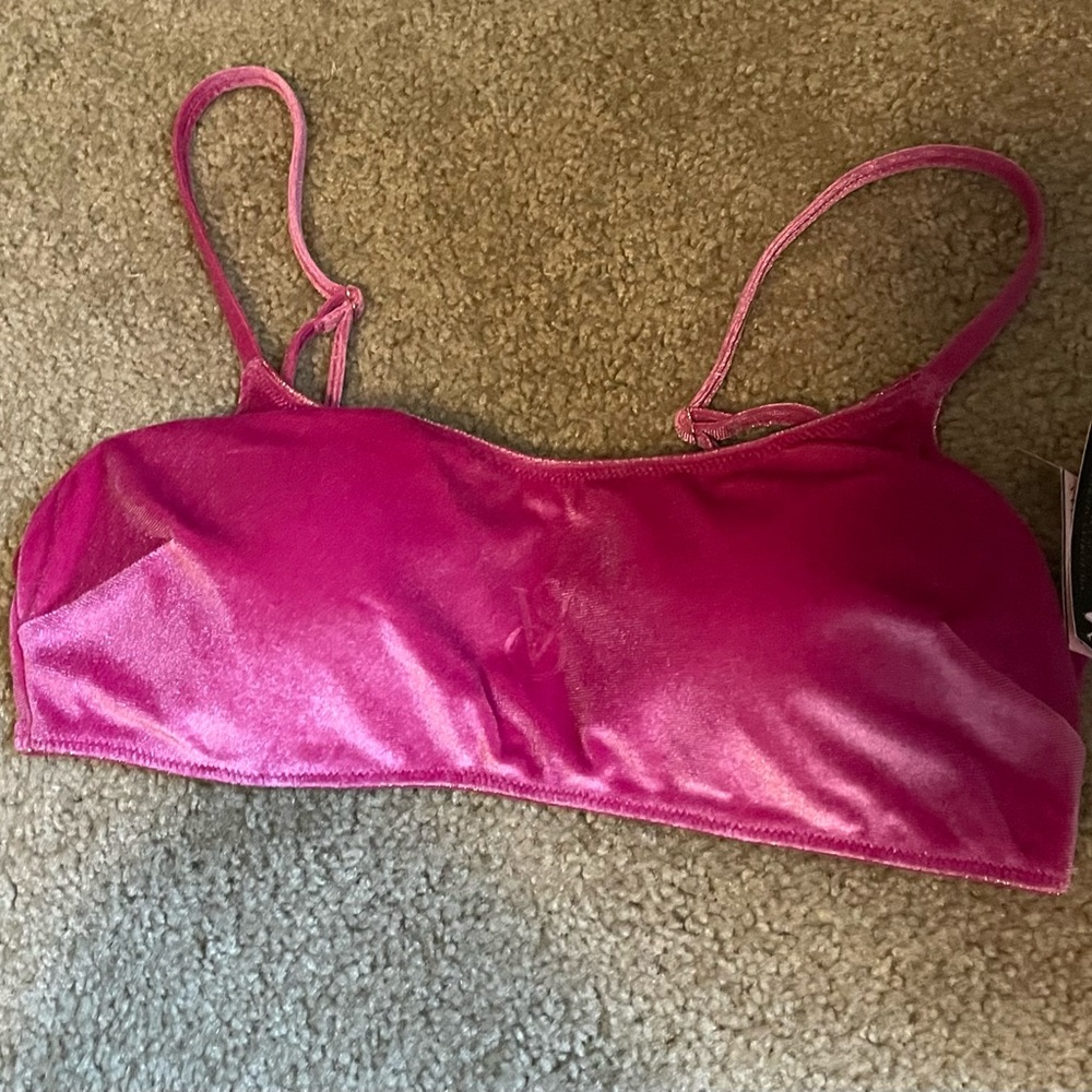 Victoria Secret Pink Velvet Bikini